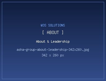 Asha Group about and leadership page presenting the group's vision