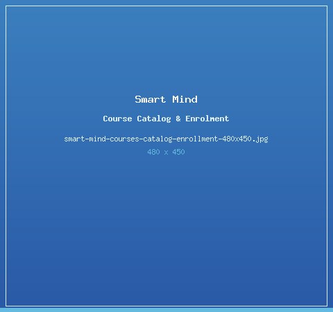 Smart Mind course catalog and programme pages with WhatsApp enrolment