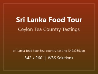 Sri Lanka Food Tour Ceylon tea country plantation tastings
